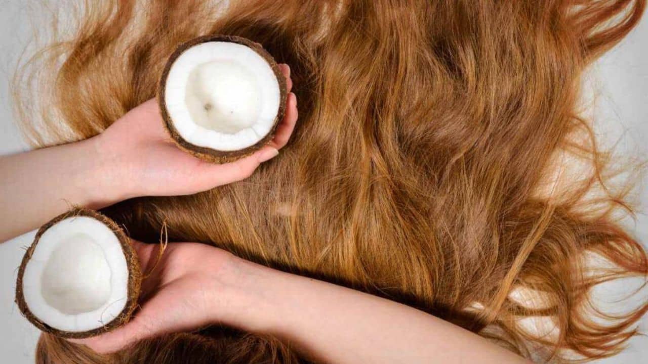 Hair Care: চুলের বৃদ্ধি থেকে পাকা চুল রোধ করতে তেল নয়, ব্যবহার করুন নারকেলের দুধ ! উপকার মিলবে হাতেনাতে