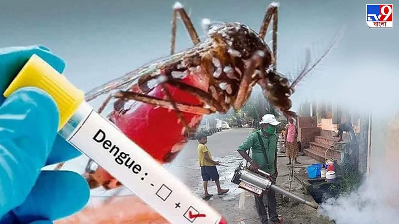 Dengue: পুজোর মুখে বাড়ছে ডেঙ্গি, হাসপাতালে চিকিৎসাধীনের সংখ্যাও নেহাত কম নয়