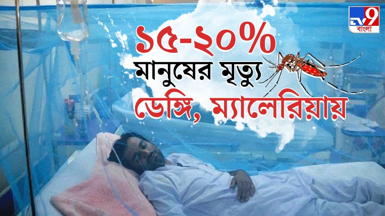 Xojayin com strict rus bekasi porno Neylon paypoq va tizzadan yuqori bolgan porno videolar