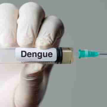 Dengue: প্রথম ডেঙ্গি আক্রান্ত চন্দ্রকোনায়, নড়েচড়ে বসেছে পুরসভা