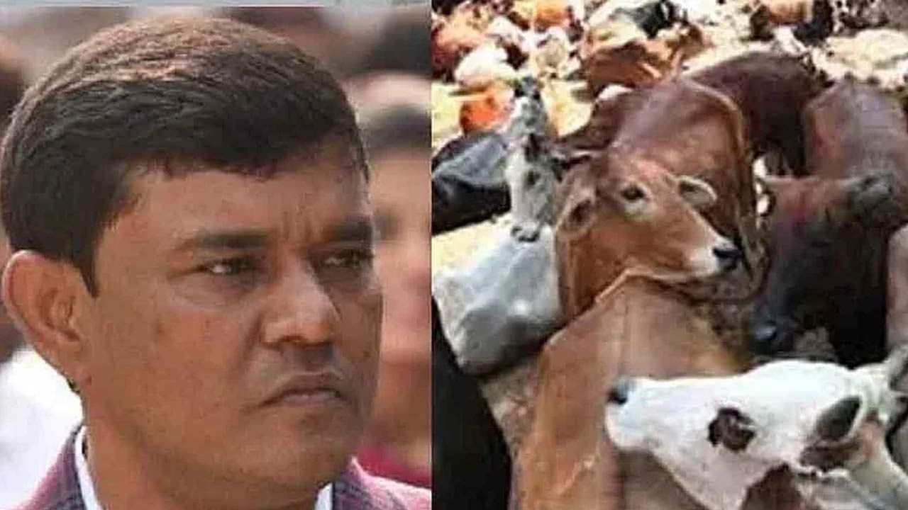 Cattle Smuggling Case: তিহার জেলে বন্দি এনামুলকে জেরা করতে চায় CID, নজরে তিন ভাগ্নেও