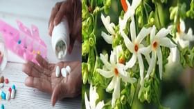 Parijaat Flower: আঙিনা ভরা শিউলির জাদুতেই সুস্থ থাকুন আশ্বিনে, জানুন উপকারিতা Parijaat Flower: আঙিনা ভরা শিউলির জাদুতেই সুস্থ থাকুন আশ্বিনে, জানুন উপকারিতা