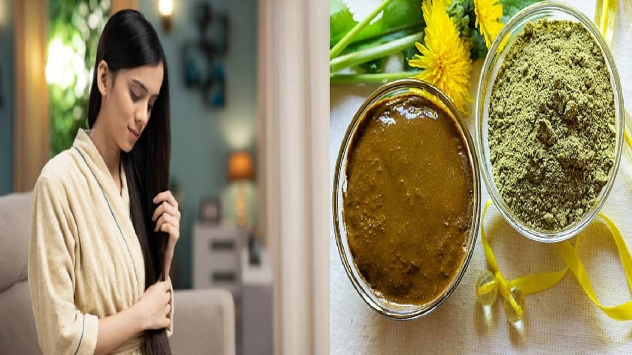 Henna For Hair: পুজোর আগে স্পা হয়নি? শেষলগ্নে হেনা করেই মান বাঁচান, সিল্কি থাকবে চুল