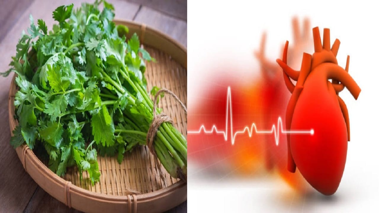 Coriander Leaves Health Benefits চিকেন থেকে আলুকাবলি, ধনেপাতার গুণে