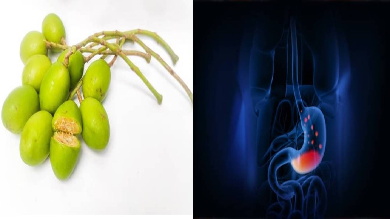 Village Food: গ্রামের এই সস্তার ফলের বাজারে কদর খুবই কম, তবে স্বাস্থ্যগুণ জানলে চমকে যাবেন!