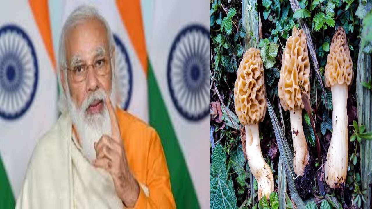 PM Modi: ৭৩-এ পা দিয়েও রোজ ১৮ ঘন্টা কাজ করেন প্রধানমন্ত্রী নরেন্দ্র মোদী, কী তাঁর ডায়েট