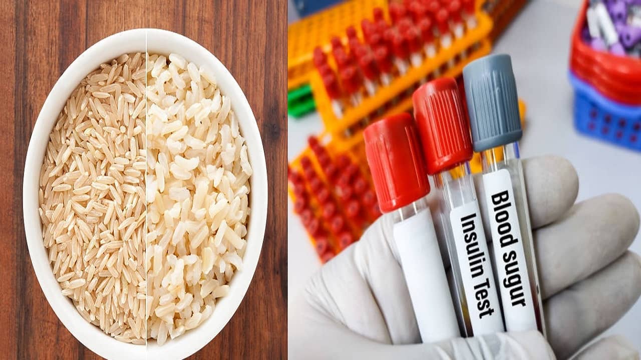 Diet Tips For Diabetes: ডায়াবেটিসে সাদা নাকি বাদামী চালের ভাত খাচ্ছেন? আপনার জন্য কোনটা ভাল জানেন...