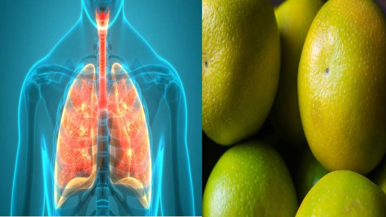Healthy Diet For Lungs: দীর্ঘদিনের বুকে জমা কফ-কাশিতে জেরবার, ভুগছেন অ্যাজমাতে? এই ৫ ফলে রোজ কামড় দিন