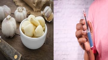 Raw Garlic: স্রেফ ২ কোয়া রসুন খালি পেটে রোজ চিবিয়ে খেলেই দূরে পালাবে ডায়াবেটিস-কোলেস্টেরলের মতো অসুখ!