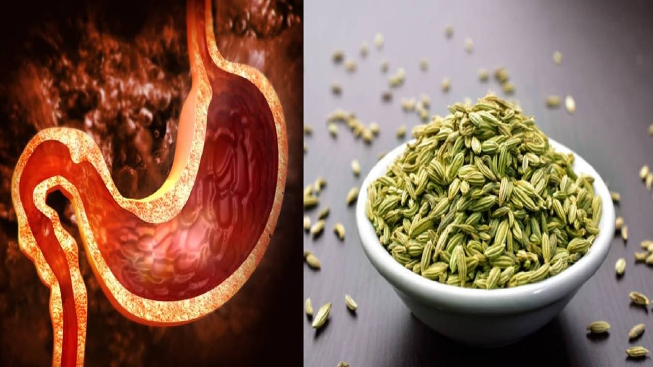 Fennel Seeds: রেস্তোরাঁতে খাবার শেষে বিলের সঙ্গে আসে মৌরি, বাড়িতেও এই একই অভ্যাস জারি রাখতে পরামর্শ পুষ্টিবিদের! কেন জানেন?