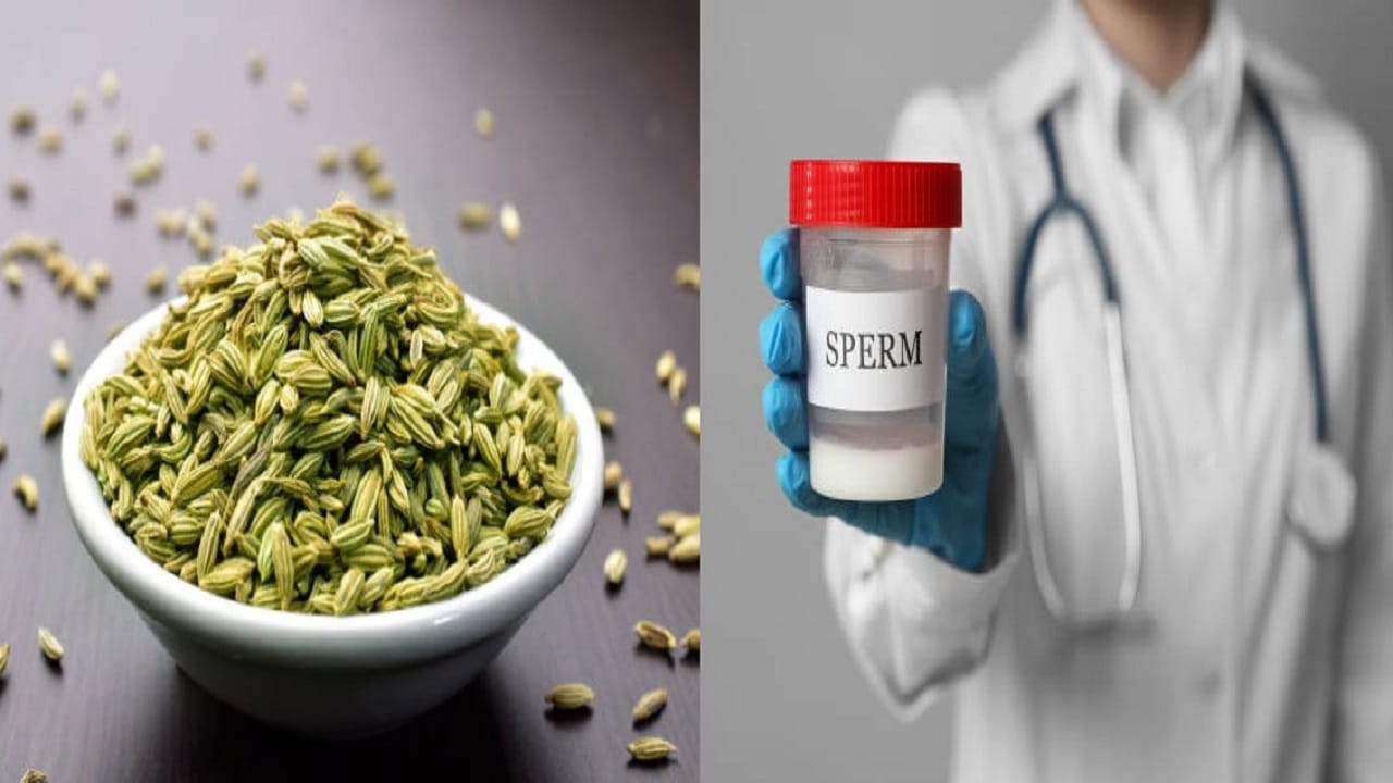 Men's Fertility মাত্র মুখশুদ্ধি হিসেবেই নয়, ছেলেদের শুক্রাণুর সংখ্যা