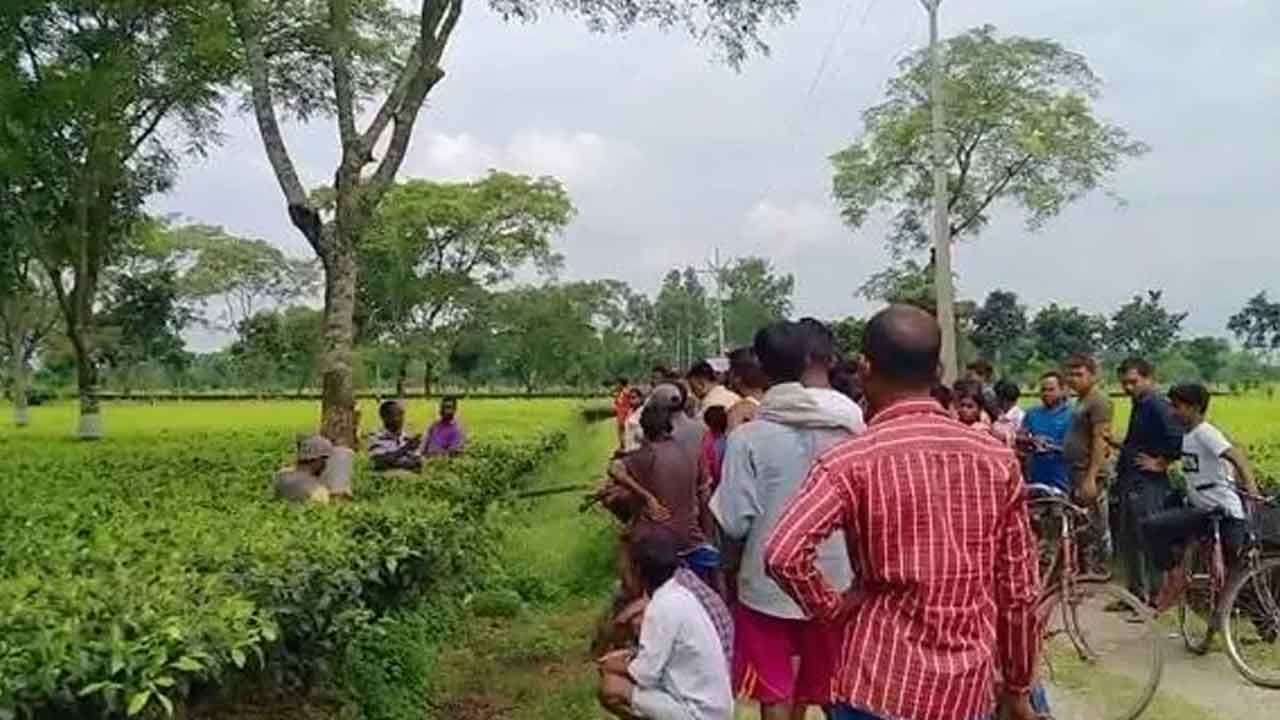 Jalpaiguri Leopard: রাত সাড়ে দশটা পোষ্যের ডাক শুনে ঘর থেকে বেরিয়েছিলেন, বাড়ি কর্তা মৃত্যু দেখলেন চোখের সামনে