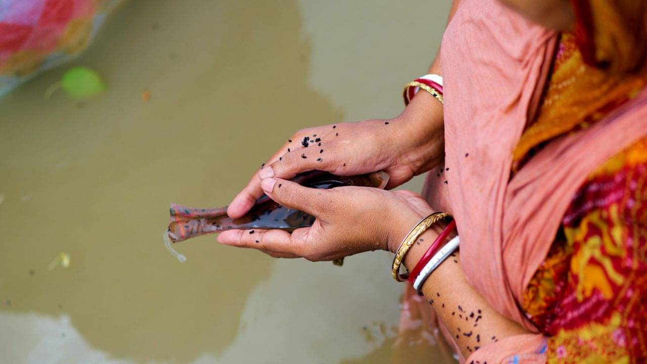 Pitru Paksha 2022: মহিলারা কি তর্পন বা শ্রাদ্ধ করতে পারেন? পিতৃপক্ষের কিছু গুরুত্বপূর্ণ বিষয়গুলি জেনে রাখা ভাল