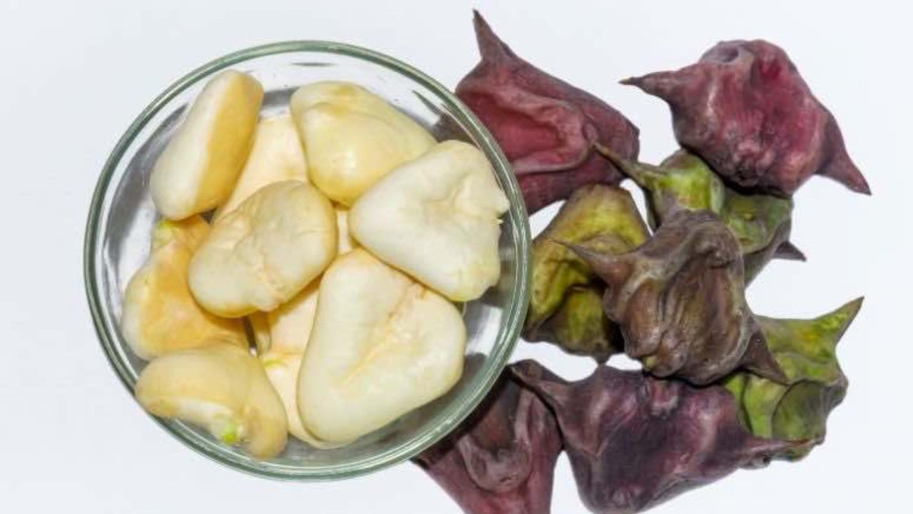 water-chestnut