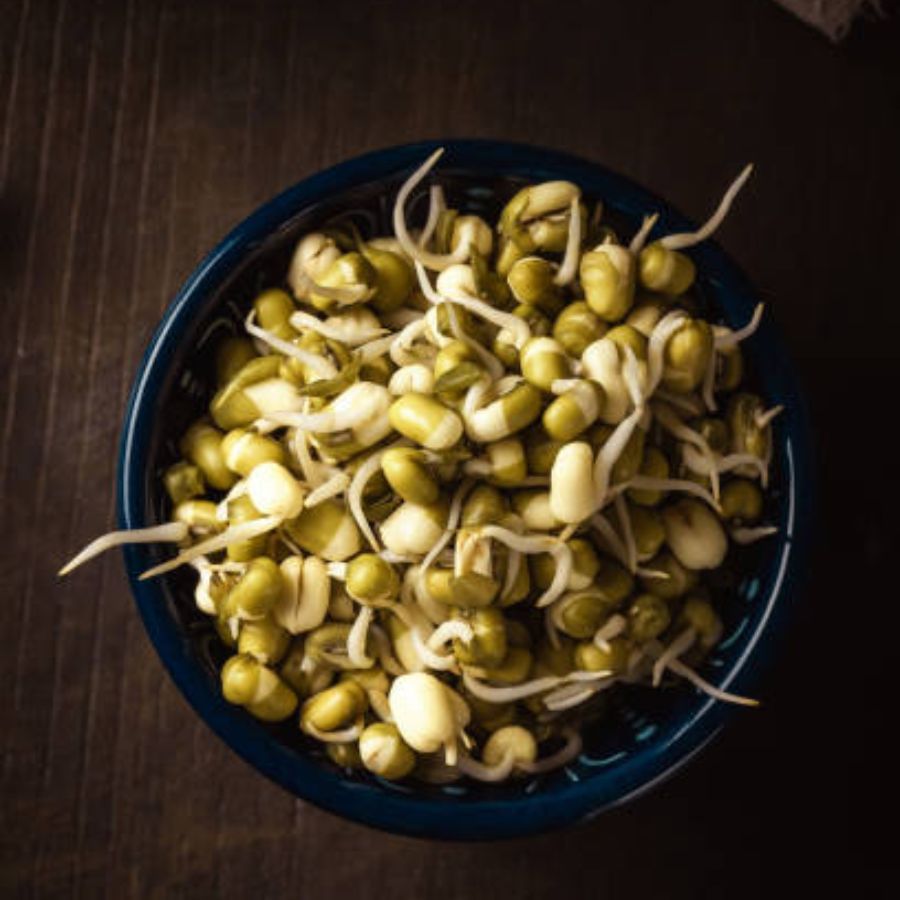 ঘন ঘন গ্যাস, অম্বলের সমস্যায় কষ্ট পাচ্ছেন? প্রতিদিন ফাইবার সমৃদ্ধ অঙ্কুরিত মুগ খান। এটি স্যাচুরেটেড ফ্যাটকে সহজেই ফ্যাটি অ্যাসিডে পরিণত করতে পারে। পাশাপাশি এটি হজমে সাহায্য করে।