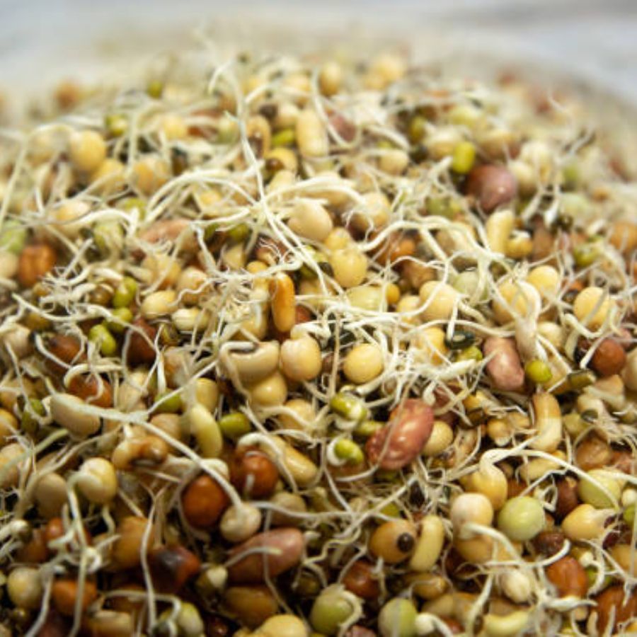 ওজন কমাতে চাইছেন? তাহলে পুজোর আগে ডায়েটে অবশ্যই এক বাটি স্প্রাউট রাখবেন। অঙ্কুরিত মুগ ওজন কমাতে সাহায্য করে। এর মধ্যে থাকা ফাইবার, প্রোটিন, অ্যামাইনো অ্যাসিড মেটাবলিজম রেটকে বাড়িয়ে দেয় এবং ওজন কমায়।