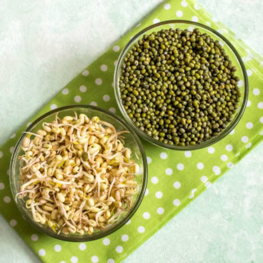 নিয়মিত জলখাবারে স্প্রাউট খেলে শরীরে পুষ্টির ঘাটতিও পূরণ হতে পারে। এই খাবারে আয়রন, পটাশিয়াম, ম্যাগনেসিয়াম, জিঙ্ক, ফসফরাসের মতো মিনারেল। এছাড়াও রয়েছে প্রয়োজনীয় ভিটামিন।