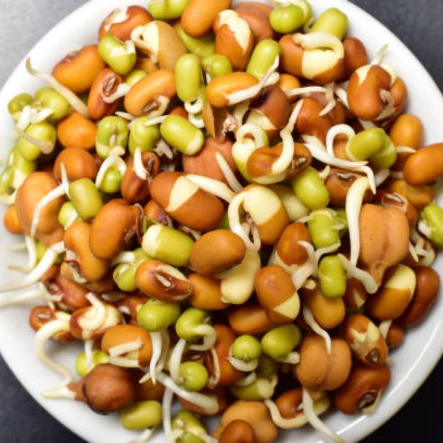 খিদের সময় যে কোনও খাবারই অমৃত মনে হয়। কিন্তু আপনি যে খাবার খাচ্ছেন তা স্বাস্থ্যকর কি না জানেন? জলখাবারেও এমন খাবার খান, যা স্বাস্থ্যের জন্য উপকারী। জাঙ্ক ফুডের বদলে বেছে নিন স্প্রাউট।