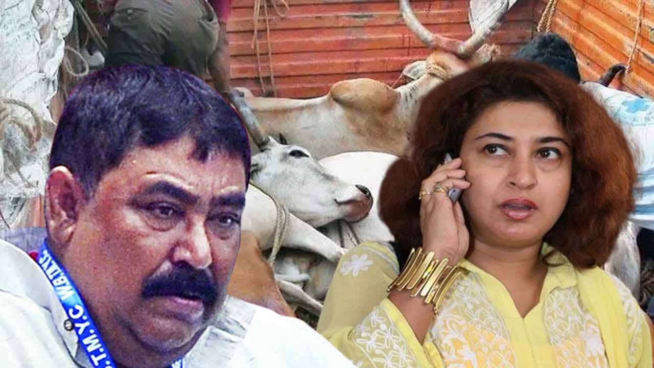 Shatabdi roy on Anubrata: গরু পাচারের কথা জানতেন? শতাব্দীকে কী কী প্রশ্ন করেছে CBI?