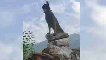 Armys Assault Dog: দুবার গুলি খেয়েও মানেনি হার, বীরদর্পে জঙ্গিদের উপর আক্রমণ চালিয়ে গিয়েছে জু়ম