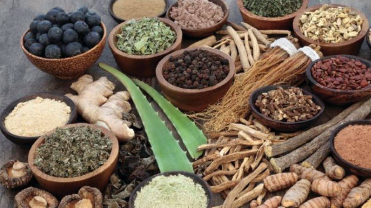 National Ayurveda Day: ১০০ রোগ তাড়াতে আয়ুর্বেদ একাই একশো! অসুখ-বিসুখের সময় সঙ্গে রাখুন এই ৭ সুপারড্রাগ