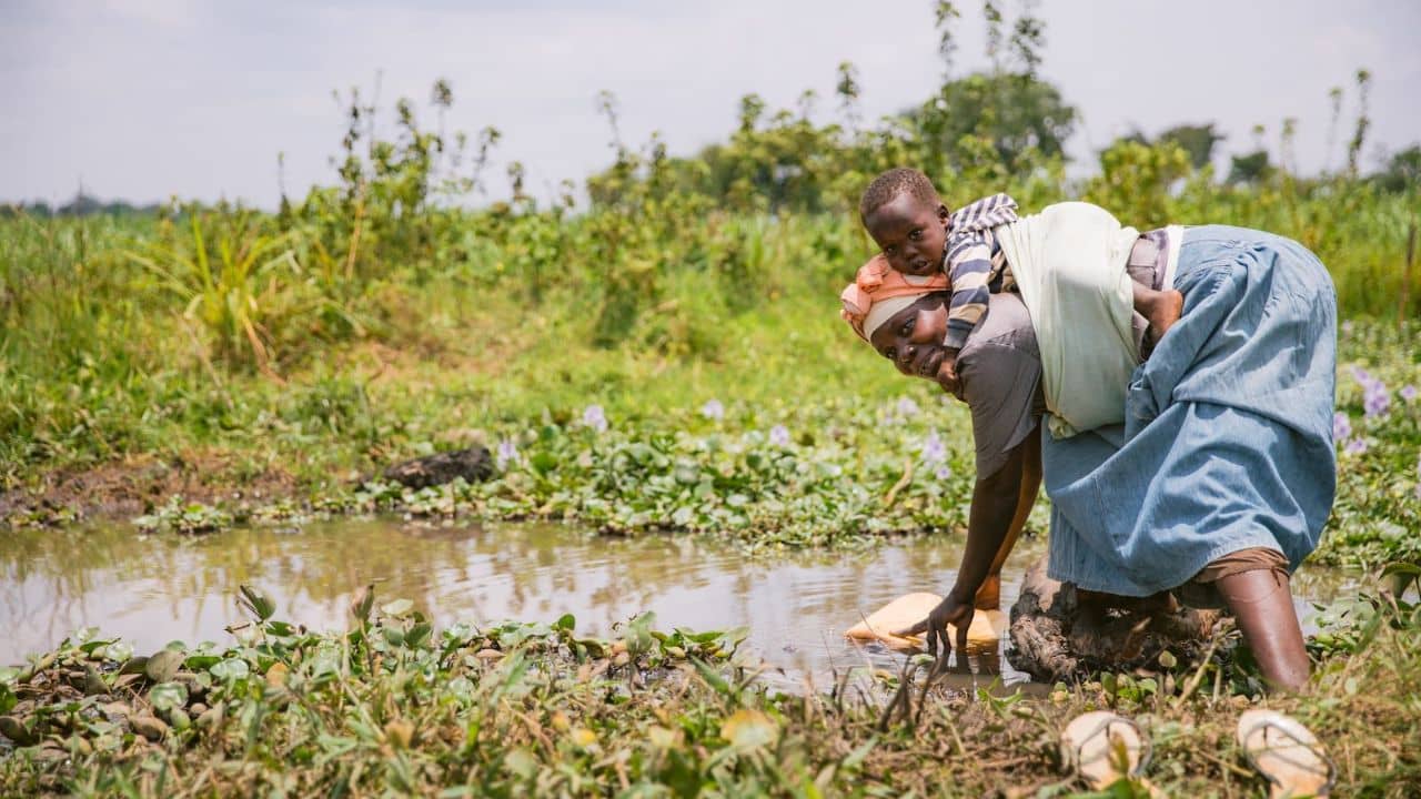 Cholera Outbreak: কোভিড, ম্যাঙ্কিপক্সের পর এখন আবার কলেরা! জলবাহিত অসুখটির মহামারীর রূপ নেওয়ার আশঙ্কা কতখানি?