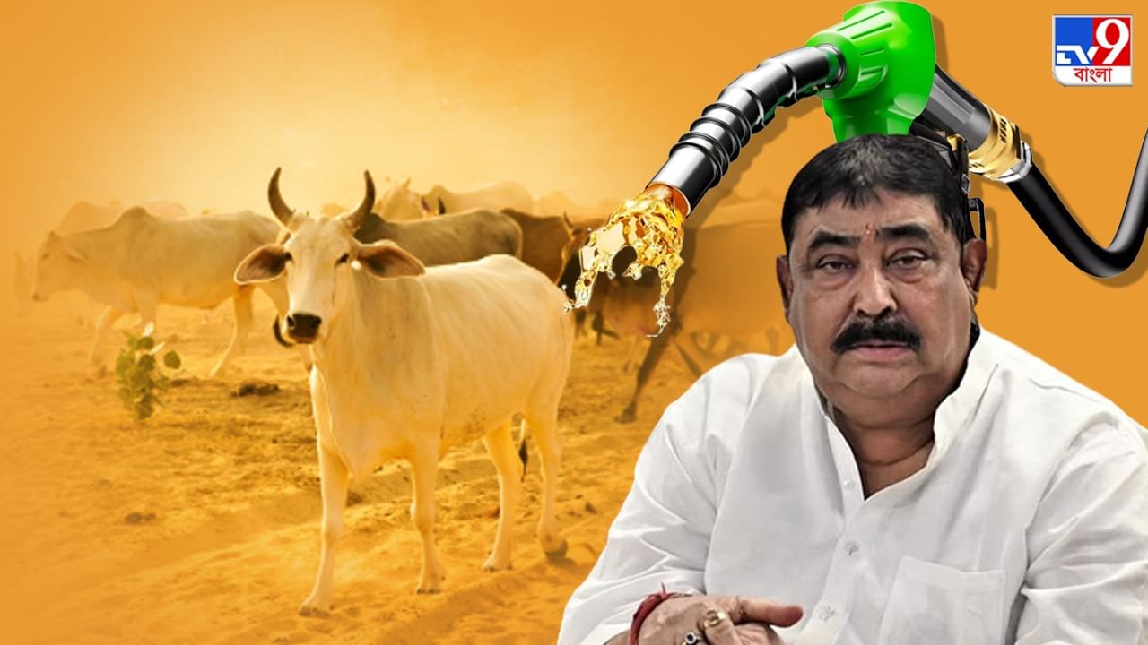 CBI on Cattle Smuggling: পেট্রোল পাম্পে বিনিয়োগ অনুব্রত 'ঘনিষ্ঠ' মলয় পীঠের NGO-র, গরু পাচারের টাকাই কি ঘুরপথে সাদা করার চেষ্টা?