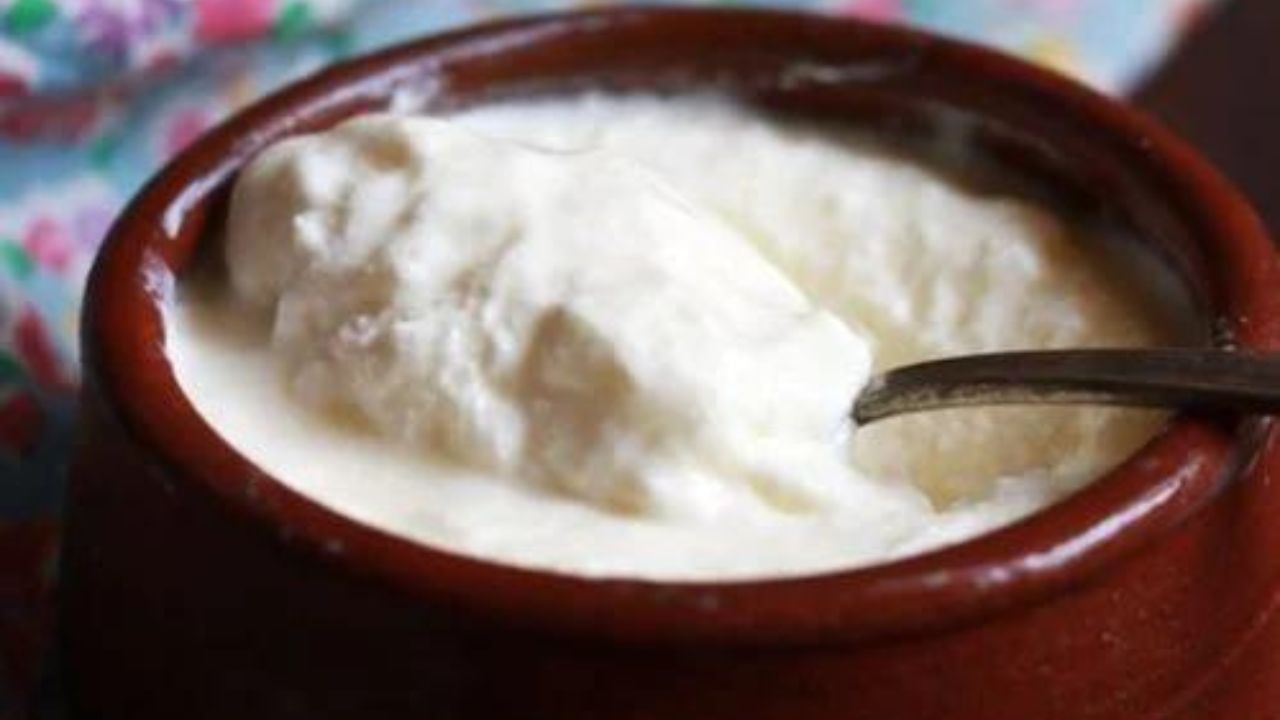 Eating Curd in Winter: শীতকালে কি দই খাওয়া উচিত? খেলে কী হতে পারে জানুন