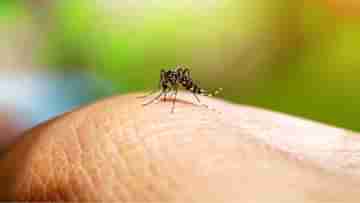 Dengue: এক মাসের মধ্যে ডেং-২ বৃদ্ধি পেয়েছে ২০ শতাংশ, ২০১৯-কেও হারিয়ে দিতে পারে বর্তমান পরিস্থিতি