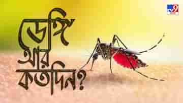 Dengue: ২০১৯-র আউটব্রেককেও কি ছাড়িয়ে গেল এবারের ডেঙ্গি? যা বলছেন বিশিষ্টরা...