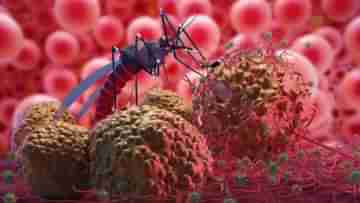 Dengue: ফিভার ক্লিনিক যেন পূর্ণমাত্রায় চালু থাকে, ডেঙ্গি সামলাতে ১৪ দফা নির্দেশিকা স্বাস্থ্যভবনের