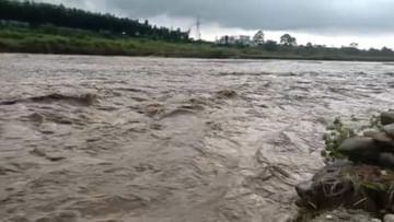 Mal River Flash Flood: সেতু দিয়ে বইছে জল, ভাসছে রাস্তা, ২ দিনের ব্যবধানে মাল নদীতে ফের হড়পা বান