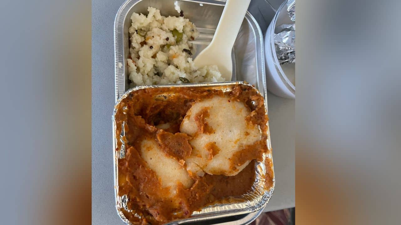 cockroach found in Food: সবে মুখে দিয়েছিলেন এক চামচ খাবার, কালো একটা বস্তুতে টান দিতেই আঁতকে উঠলেন বিমান যাত্রী...