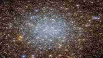Globular Cluster: হাজার হাজার তারার ক্লাস্টারের ছবি তুলে বুড়ো বয়সে ভেলকি দেখাল হাবল স্পেস টেলিস্কোপ