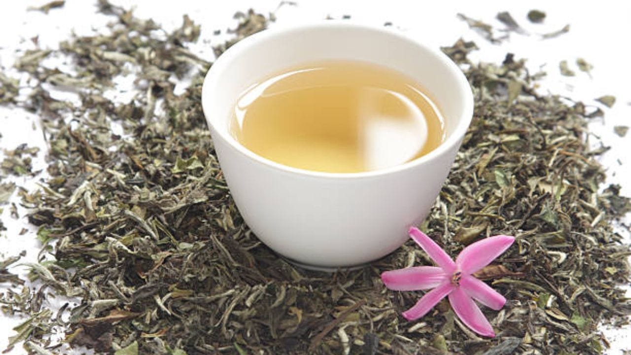 White Tea ব্ল্যাক বা গ্রিন নয়, সুস্বাস্থ্যের দাওয়াই এখন হোয়াইট টি