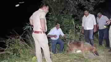 Hooghly News: দশমী থেকে নিখোঁজ নাবালিকা,পরিবারের দাবি মেনেই খুঁজতে এল স্নিফার ডগ