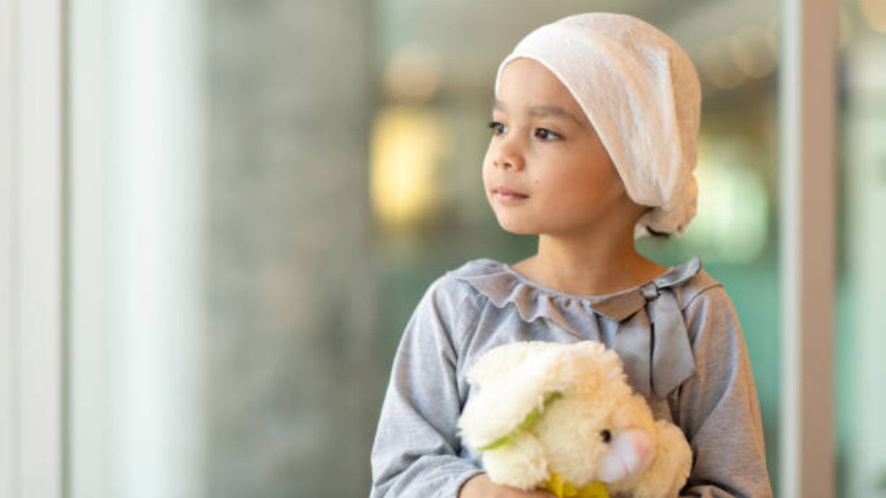 Blood Cancer in Kids: শিশুদের ব্লাড ক্যান্সার! কীভাবে চিনবেন আগাম লক্ষণ? Blood Cancer in Kids: শিশুদের ব্লাড ক্যান্সার! কীভাবে চিনবেন আগাম লক্ষণ?