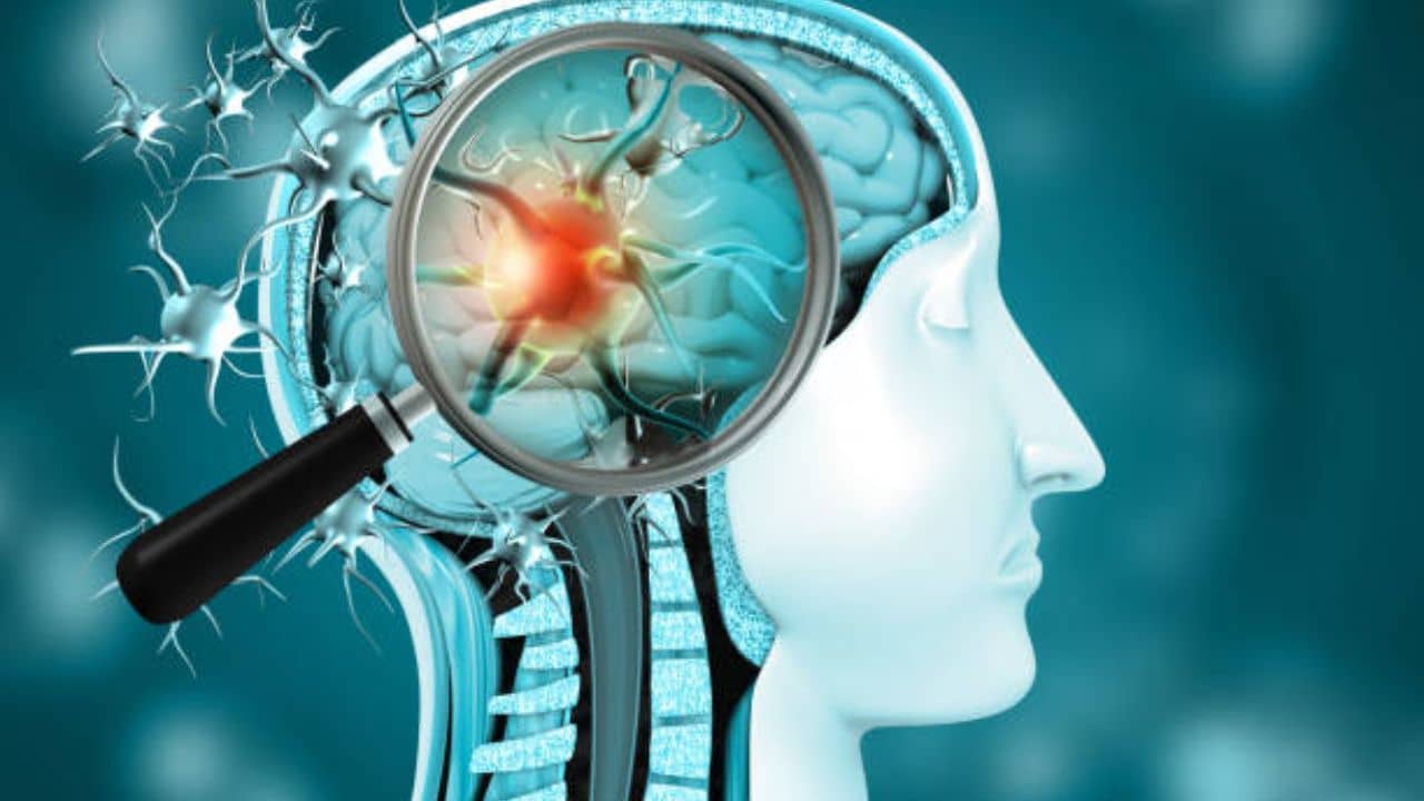 Memory and Learning: কোভিডের পরে স্মৃতিশক্তি লোপ! সমাধানের জন্য সপ্তাহে ব্যায় করুন মাত্র ২ ঘণ্টা