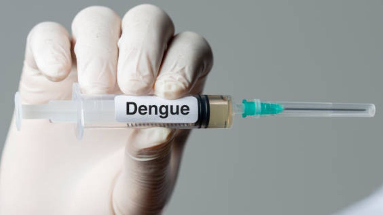 Dengue Cases In Kolkata: কলকাতায় জাঁকিয়ে বসছে ডেঙ্গি, গত সপ্তাহে শুধু দক্ষিণ কলকাতাতেই আক্রান্ত ৮৬%-এরও বেশি