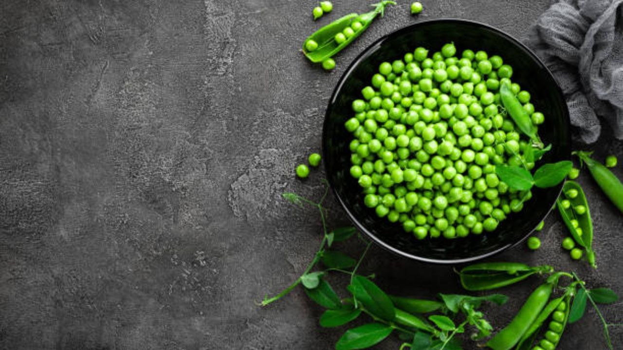 Vegetarian Day: এই ৪ উদ্ভিজ প্রোটিন শক্তির আধারঘার, রোজ খেলে লাগবে না চিকিৎসার খরচ