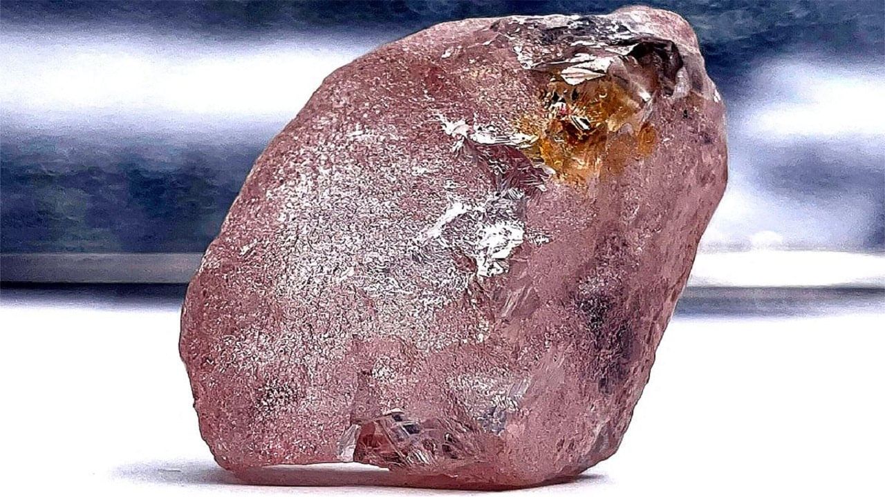 Rare Pink Diamond: মধ্য আফ্রিকায় 170 ক্যারেটের বিরলতম গোলাপি হিরে আবিষ্কার, গত 300 বছরে সবথেকে বড়