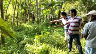 CPIM in Jhargram: একদা মাওবাদী অধ্যুষিত জঙ্গলমহলের কেন্দুগাড়িতে নজর কাড়ছে লাল ঝান্ডার মিছিল