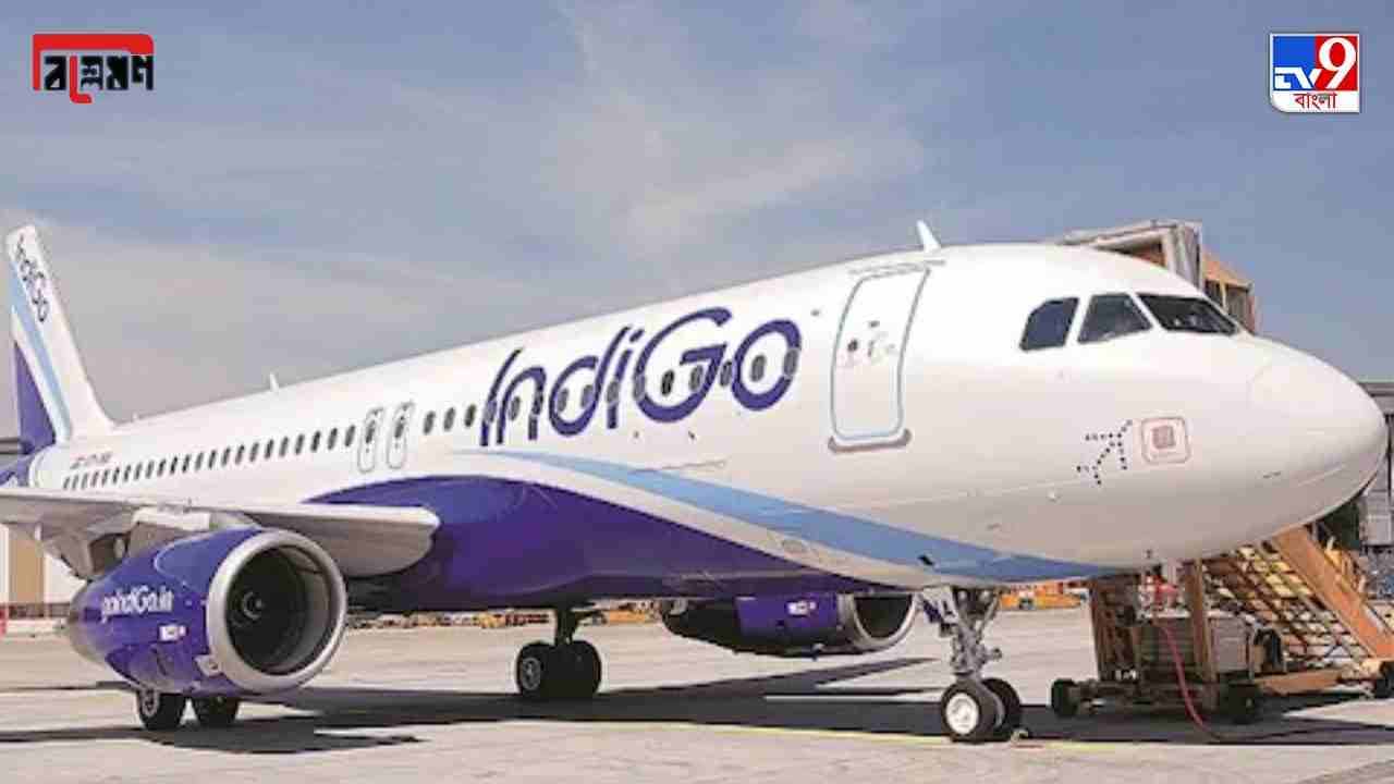 TV9 Bangla Explained: বিশাল চ্যালেঞ্জ নিয়ে ফের ইস্তাম্বুল যাত্রা শুরু করছে ইন্ডিগো, এবার কি আসবে সাফল্য?