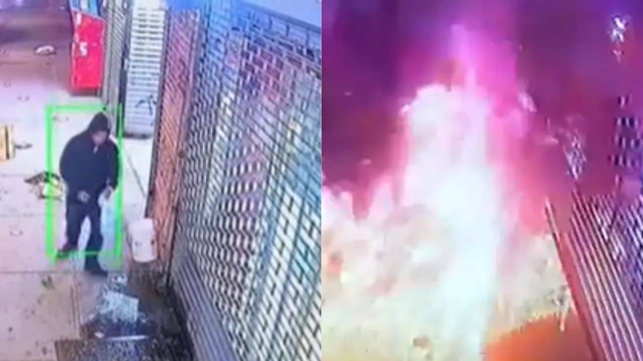 Video: চিকেন বিরিয়ানি চেয়েও মেলেনি! বাংলাদেশি রেস্তোরাঁর ওপর যেভাবে বদলা নিল ব্যক্তি, ভিডিয়োতেই দেখুন