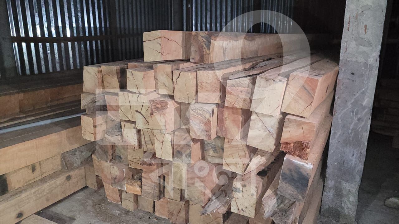 Raiganj Timber Recovery কেঁচো খুঁড়তে কেউটে? তৃণমূল নেতার অবৈধ নির্মাণ