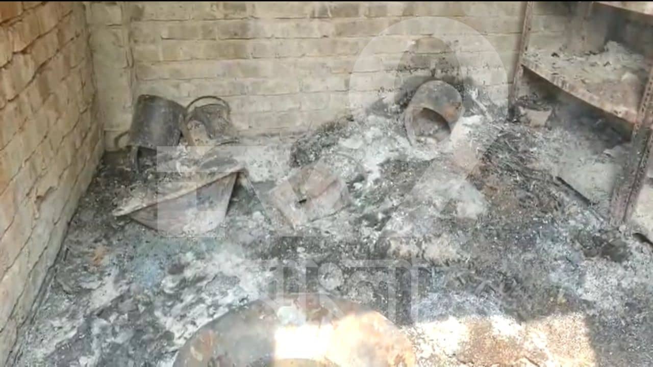 Kali Puja: কেন পুড়ে খাক নার্সারি? দাবি মতো চাঁদা না দেওয়াই কি কাল? নাকি অন্য কোনও কারণ?