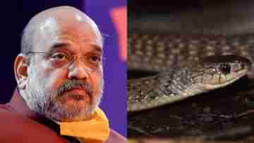 Amit Shah: অমিত শাহের বাড়ি থেকে বেরল ৫ ফুটের লম্বা সাপ, তারপর যা হল...