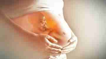Unborn Babies: যে শিশু ভূমিষ্ঠ হয়নি, তার শরীরেও বিষাক্ত দূষণকারী, গবেষণায় মিলল প্রমাণ