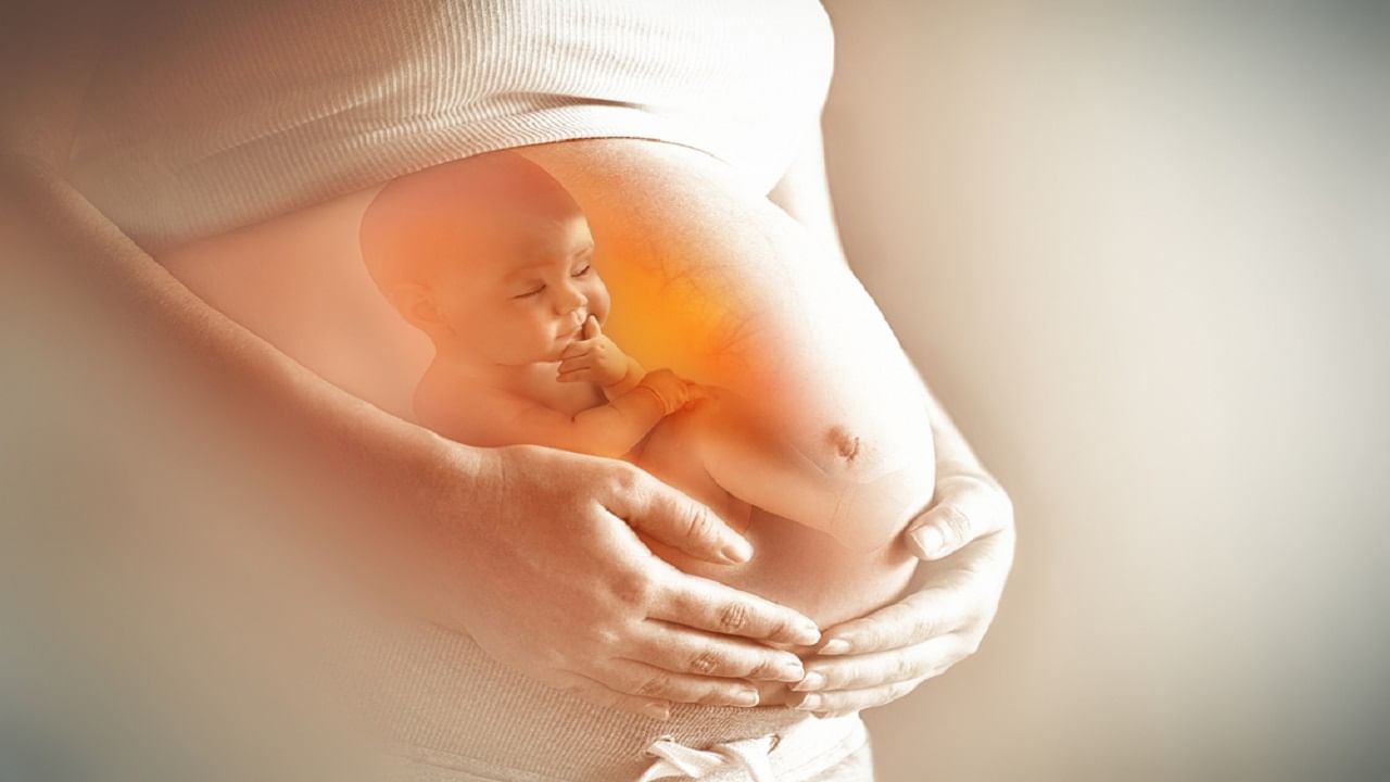 Unborn Babies: যে শিশু ভূমিষ্ঠ হয়নি, তার শরীরেও বিষাক্ত দূষণকারী, গবেষণায় মিলল প্রমাণ