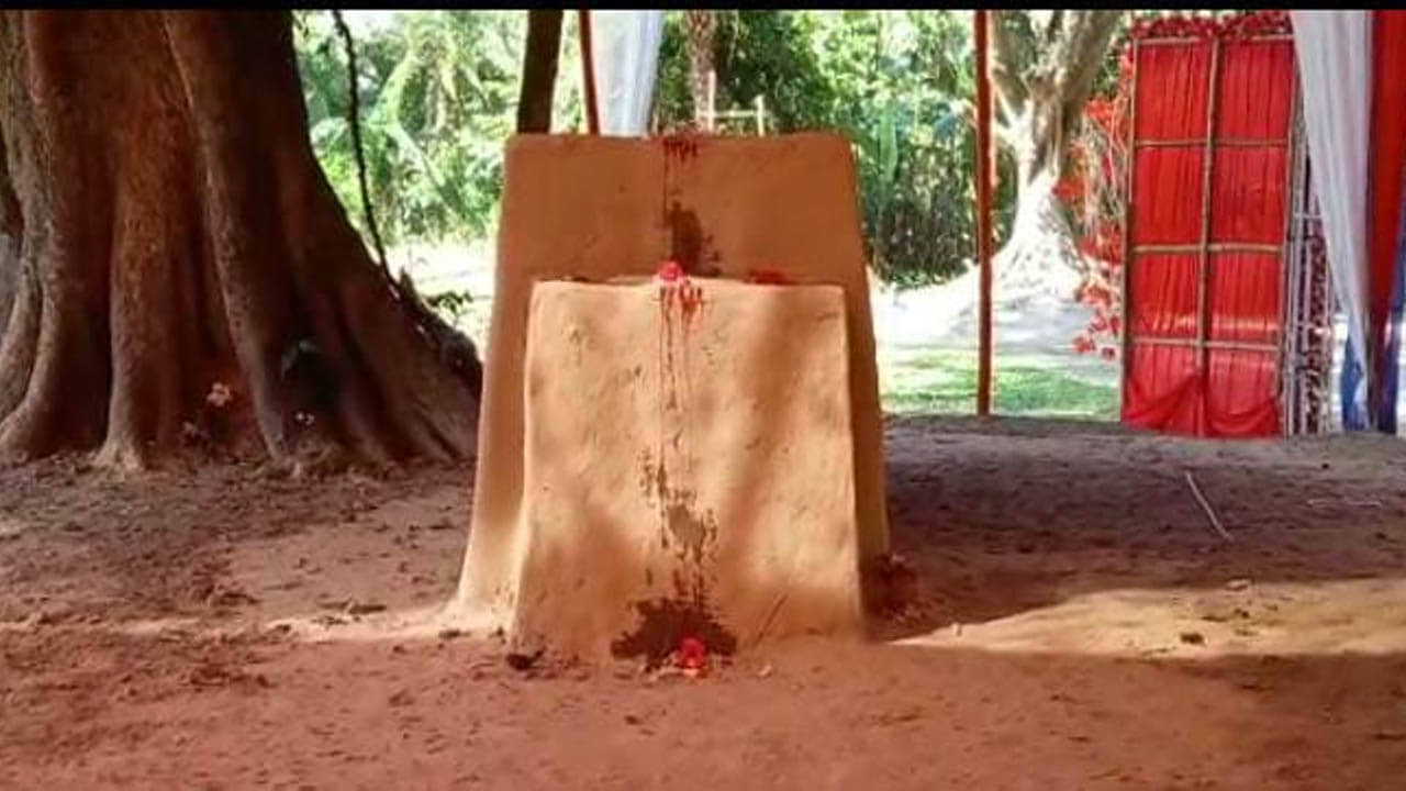 Kali Puja 2022: পুজো শেষে মাটিতেই মিলিয়ে যান কুশমণ্ডির মা মাটিয়া কালি, মেলায় আগত দোকানদারাও বসেন মাটিতে